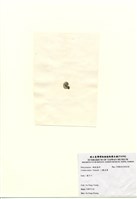 藏品(小團扇藻)的圖片